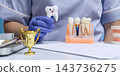 Dentist Holding Smiling Tooth Character Beside Dental Implant and Jawbone Model for Oral Healthcare Education 143736275