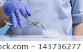 Dentist Demonstrating Tooth Extraction with Stainless Steel Dental Forceps on Plaster Jaw Model in Clinic 143736277