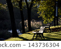 A bench in the park in the morning 143736304