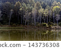 reflection 143736308