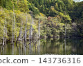 A natural lake surrounded by autumn foliage 143736316