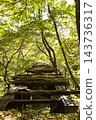 The remains of a forest railway in a forest enveloped in fresh greenery. 143736317