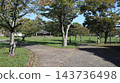 秋天的聖心中央公園，一個靠近車站的大型公園，樹葉變色之前。 143736498