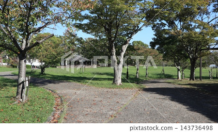 秋天的聖心中央公園,一個靠近車站的大型公園,樹葉變色之前。 秋天的聖心中央公園,一個靠近車站的大型公園,樹葉變色之前。 143736498