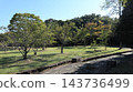 秋天的聖心中央公園，一個靠近車站的大型公園，樹葉變色之前。 143736499