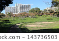 秋天的聖心中央公園，一個靠近車站的大型公園，樹葉變色之前。 143736503