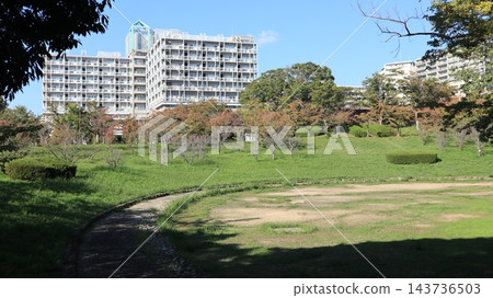秋天的聖心中央公園，一個靠近車站的大型公園，樹葉變色之前。 143736503