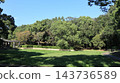 秋天的聖心中央公園，一個靠近車站的大型公園，樹葉變色之前。 143736589