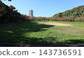 秋天的聖心中央公園，一個靠近車站的大型公園，樹葉變色之前。 143736591