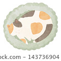 A calico cat curled up and sleeping on a fluffy cushion (watercolor style) 143736904