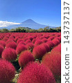 地膚植物和富士山 - 大石公園（山梨縣富士河口湖町） 143737137