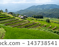 Green Rice Terraces and Wooden Huts with Mountain View at Pa Bong Piang 143738541