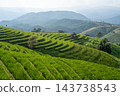 Green Rice Terraces with Mountain View at Pa Bong Piang 143738543