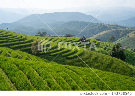 Green Rice Terraces with Mountain View at Pa Bong Piang Green Rice Terraces with Mountain View at Pa Bong Piang 143738543