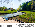 Early autumn scenery of flowers and waterside in Sodegaura Park 143738629