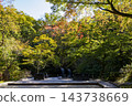 Autumn at Kaneyama Falls and Mt. Fuji Museum 143738669