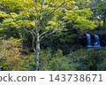 Autumn at Kaneyama Falls and Mt. Fuji Museum 143738671