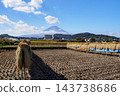 Rice fields after the harvest and Mount Fuji 143738686
