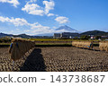 Rice fields after the harvest and Mount Fuji 143738687