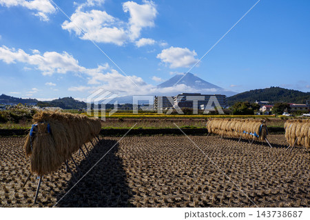 收割後的稻田和富士山 收割後的稻田和富士山 143738687