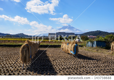 收割後的稻田和富士山 收割後的稻田和富士山 143738688