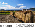 Rice fields after the harvest and Mount Fuji 143738692