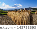 Rice fields after the harvest and Mount Fuji 143738693