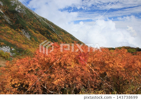 秋日裡，晴朗的天空下，中阿爾卑斯山脈駒嶽山的景色美不勝收。 143738699