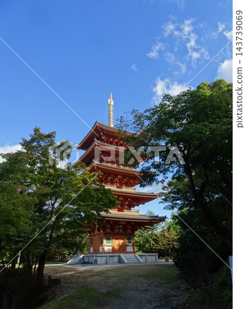Fushimi-ji Five-storied pag 143739069