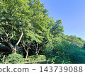 公園裡晴空萬裡，樹木蔥。 143739088