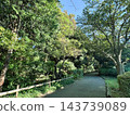 綠樹成蔭的公園裡，有步道和陽光斑駁的小徑。 143739089