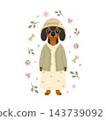 Cute grandma dachshund dog in hat and glasses with flowers. Vector cartoon elderly dog card isolated on white background. 143739092
