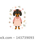 Cute girl dachshund in pink dress with bows and flowers. Vector cartoon puppy dog card isolated on white background. 143739093