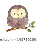 Color illustration of an owl [with transparent background] 143739260