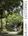 A woman dancing in the greenery 143739501