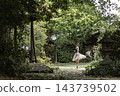 Ballerinas dancing in nature 143739502