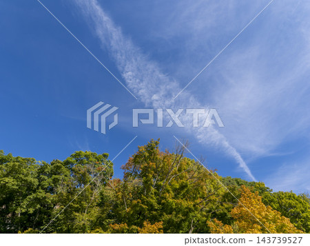 秋高氣爽,山上的樹木開始變色。 秋高氣爽,山上的樹木開始變色。 143739527