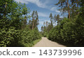 driving plate through forest in sunny summer day 143739996