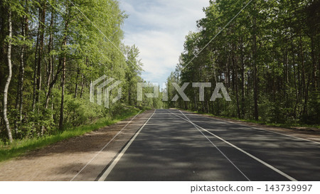 driving plate through forest in sunny summer day driving plate through forest in sunny summer day 143739997
