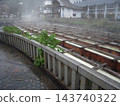 In August, the Yubatake hot spring field in Kusatsu Onsen is shrouded in steam. 143740322