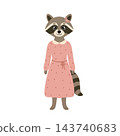 Cute teen girl raccoon character in pink polka dot dress. Vector cartoon kid animal isolated on white background 143740683