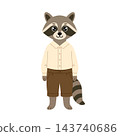 Cute boy raccoon character in shirt and shorts. Vector cartoon kid animal standing isolated on white background. 143740686