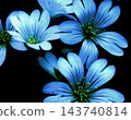  花材料 143740814