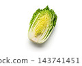 Cross-section of a cabbage cut lengthwise 143741451