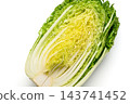 Cross-section of a cabbage cut lengthwise 143741452