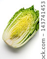 Cross-section of a cabbage cut lengthwise 143741453