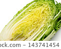Cross-section of a cabbage cut lengthwise 143741454