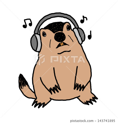 A marmot listening to music A marmot listening to music 143741895