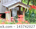 A Jizo statue in a shrine, surrounded by spider lilies in full bloom. 143742027
