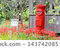 A retro red, round mailbox from the Showa era and vibrant spider lilies. 143742085